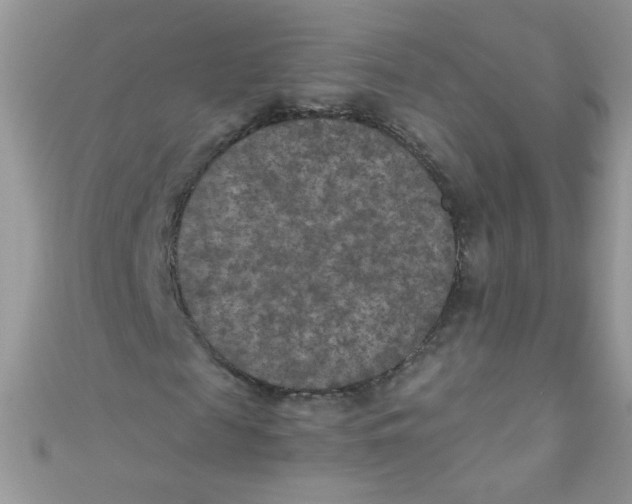 X0000111010817200907171832