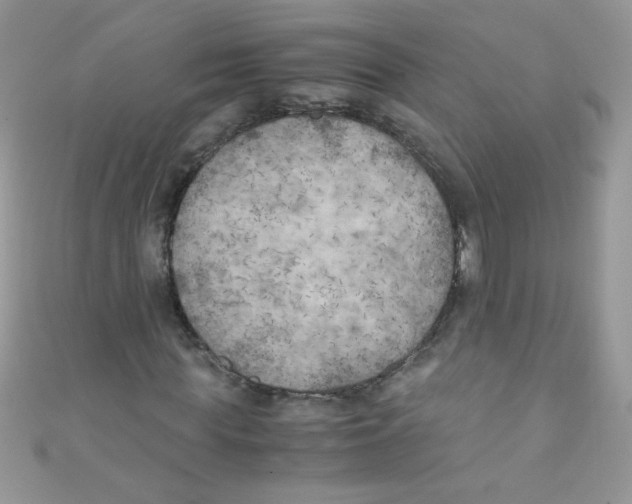 X0000111010819200907171832