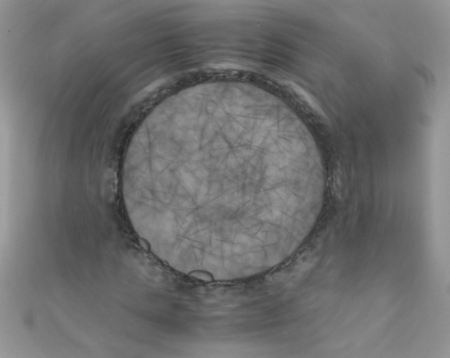 X0000111010821200907171832