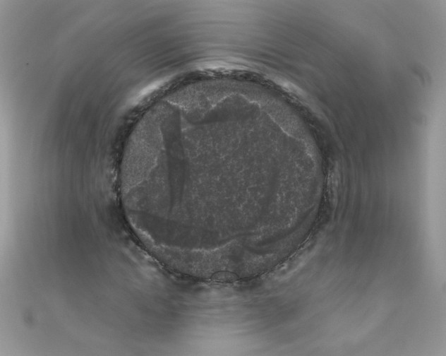 X0000111010822200907171832