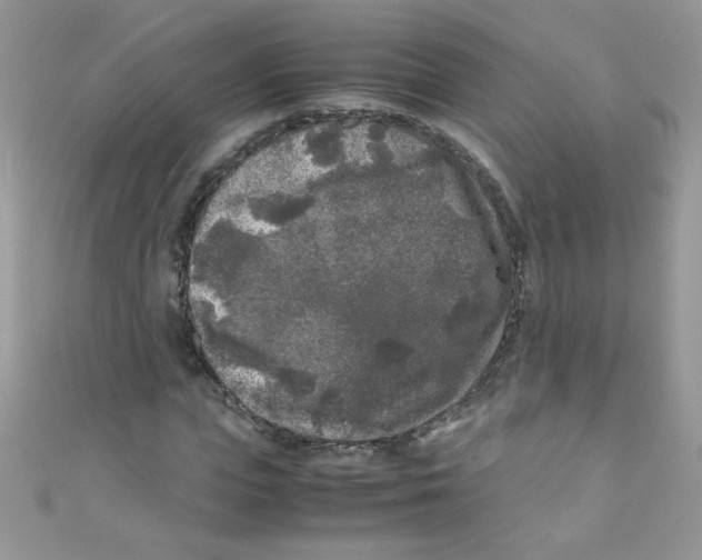 X0000111010823200907171832