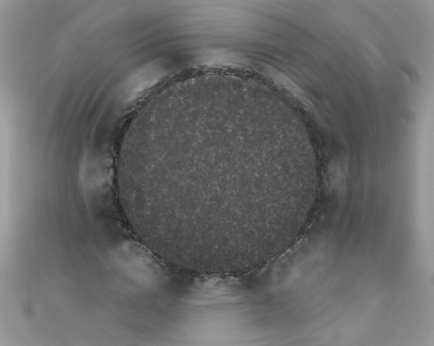 X0000111010824200907171833