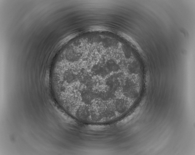 X0000111010825200907171833