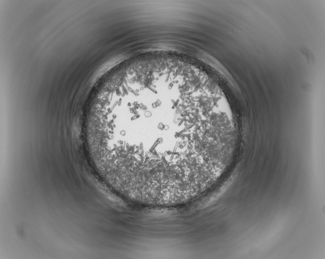 X0000111010826200907171833
