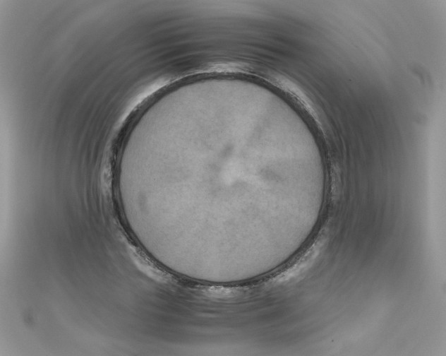 X0000111010827200907171833