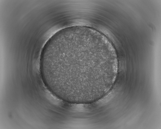 X0000111010828200907171833