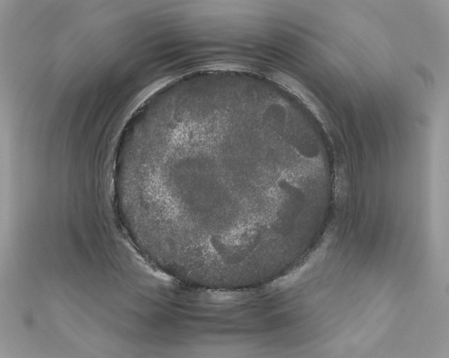 X0000111010829200907171833