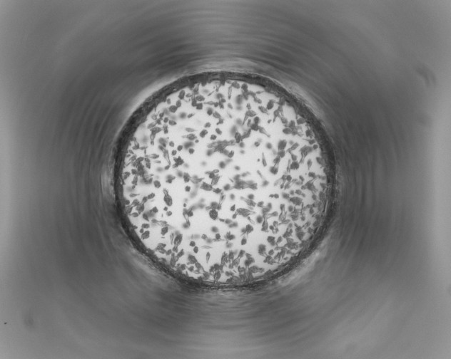 X0000111010830200907171833