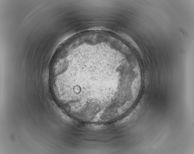 X0000111010831200907171833
