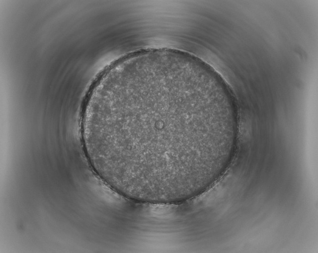 X0000111010832200907171833