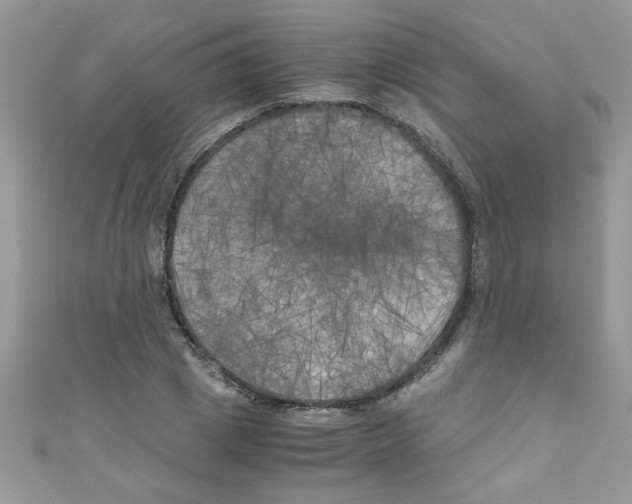 X0000111010833200907171833