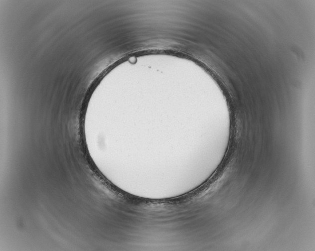 X0000111010834200907171833