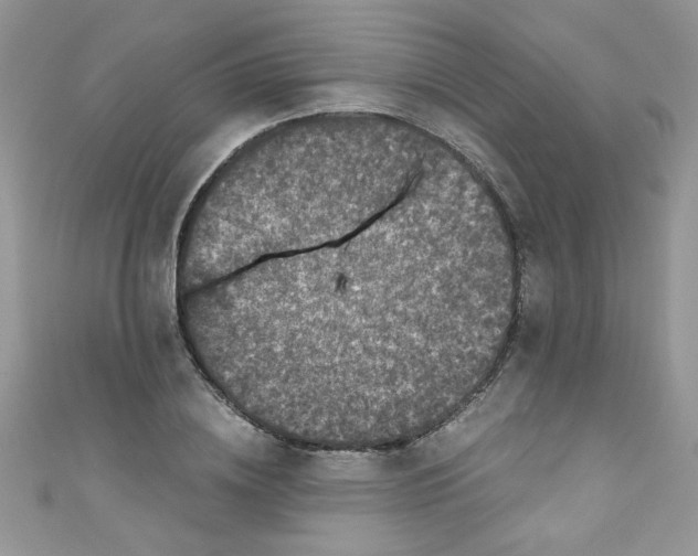 X0000111010836200907171833