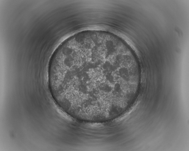 X0000111010837200907171833
