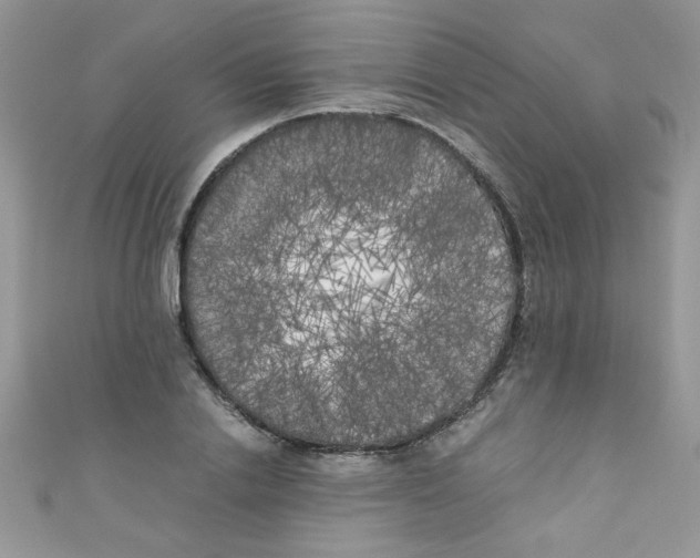 X0000111010838200907171833
