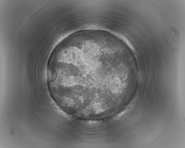 X0000111010839200907171833