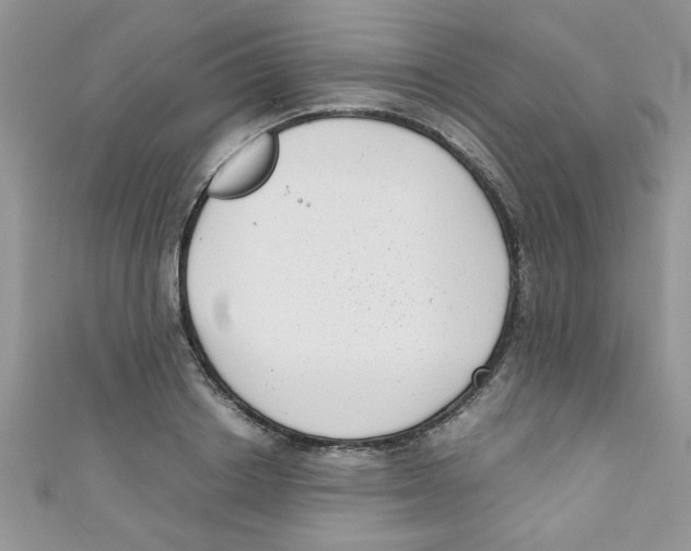 X0000111010842200907171833