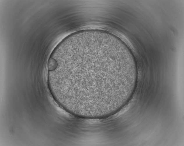 X0000111010844200907171833