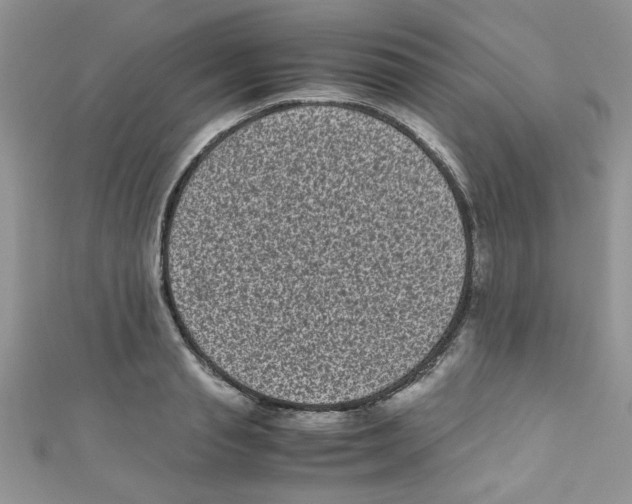 X0000111010845200907171833