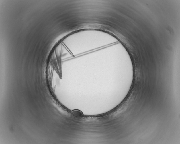 X0000111010846200907171833