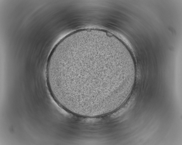 X0000111010847200907171833