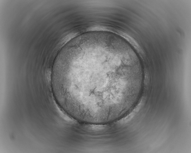 X0000111010849200907171833