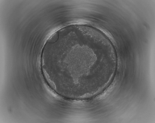 X0000111010850200907171833