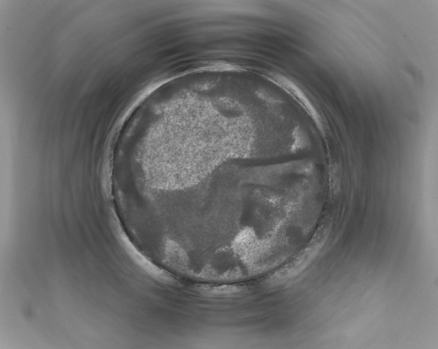 X0000111010851200907171833