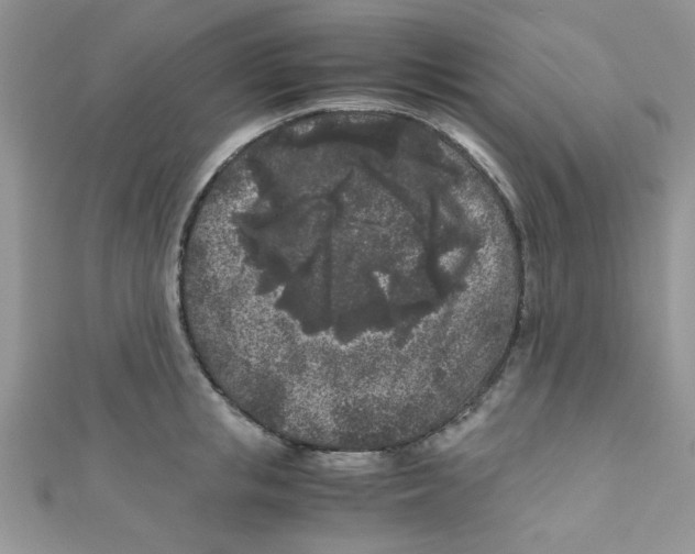 X0000111010853200907171833