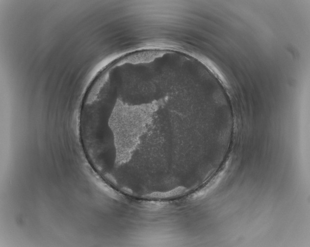 X0000111010854200907171833