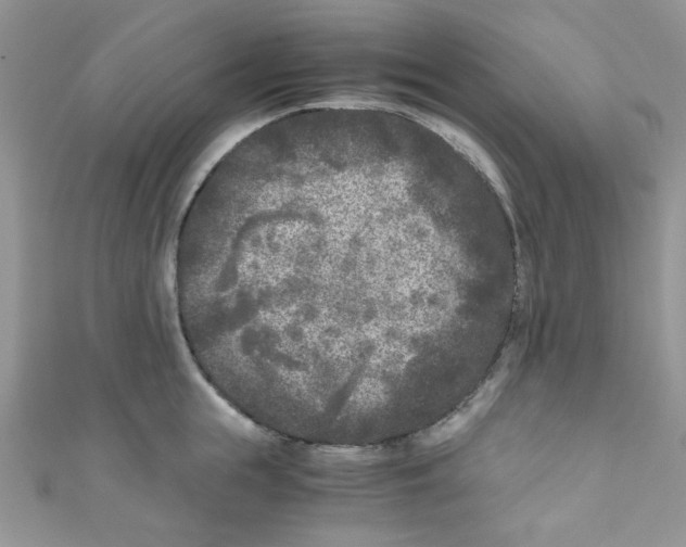 X0000111010855200907171833
