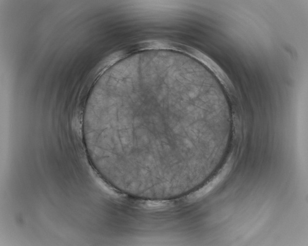 X0000111010857200907171833