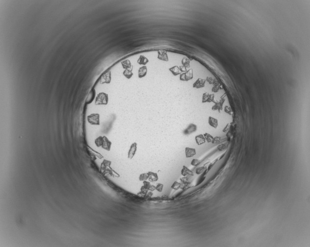 X0000111010858200907171833