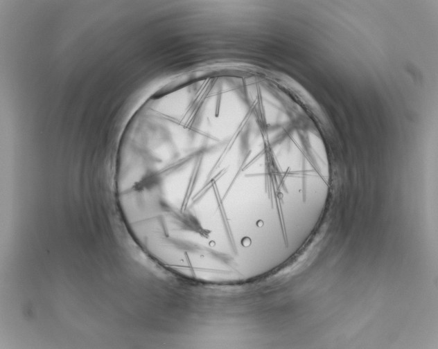 X0000111010860200907171833