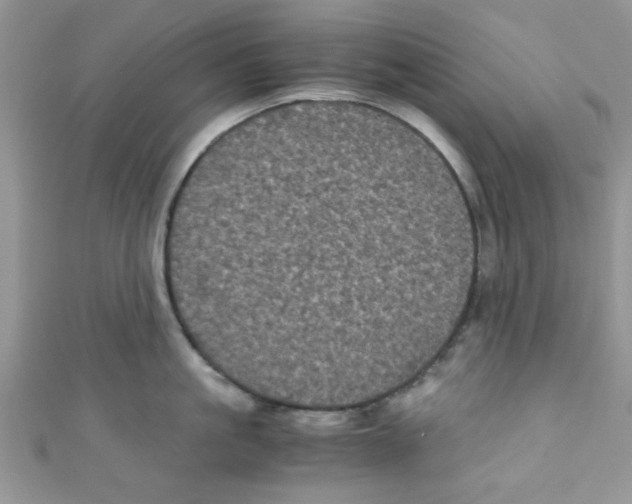 X0000111010861200907171833