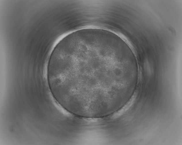 X0000111010862200907171833