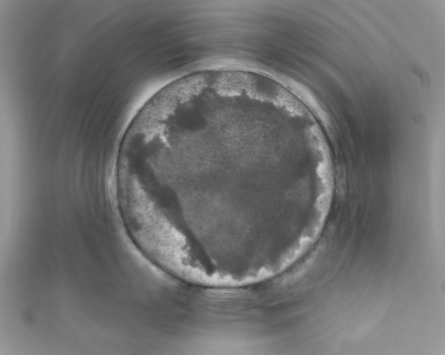 X0000111010863200907171833