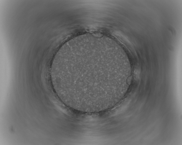 X0000111010865200907171832