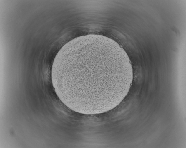 X0000111010866200907171832