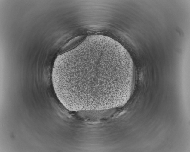 X0000111010868200907171832