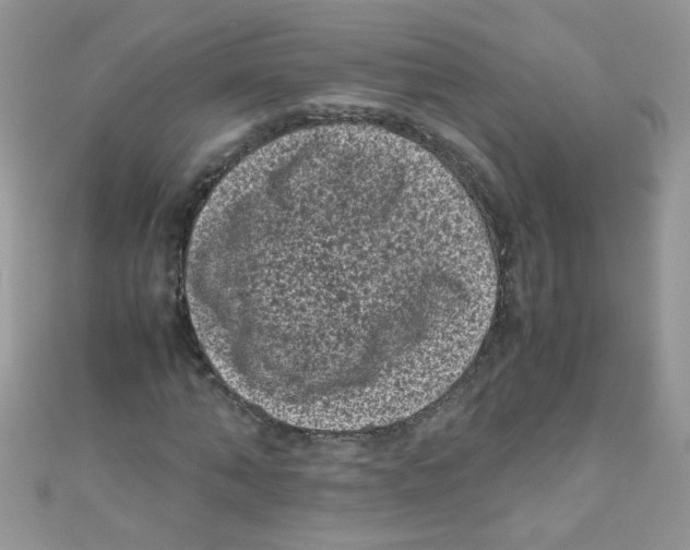 X0000111010870200907171832
