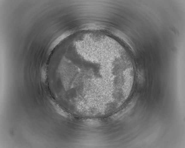 X0000111010874200907171832