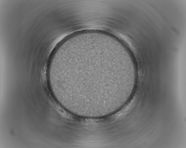 X0000111010875200907171832