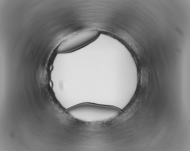 X0000111010876200907171832