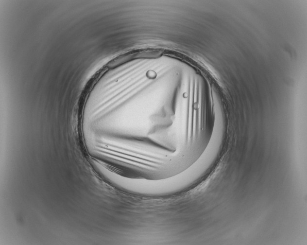 X0000111010877200907171832