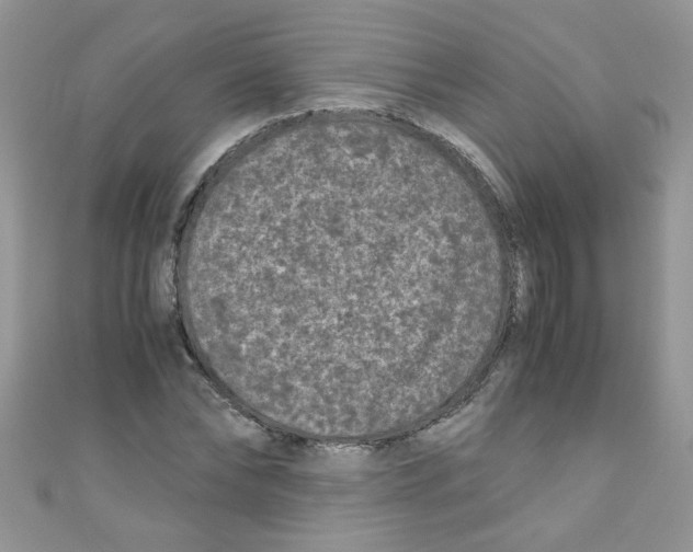 X0000111010878200907171832