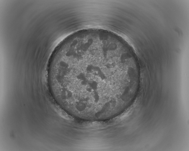 X0000111010879200907171832