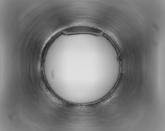 X0000111010880200907171832