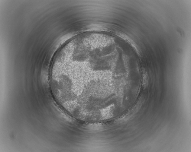 X0000111010882200907171832