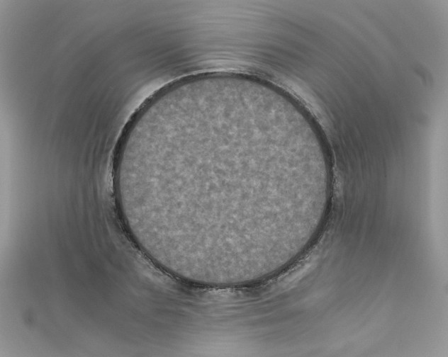X0000111010883200907171832
